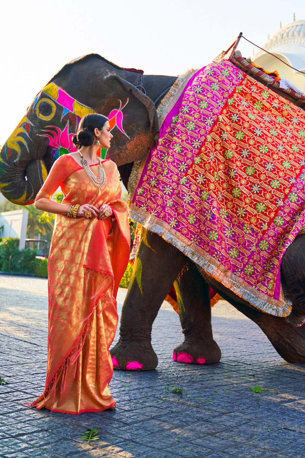 Elegant Kanjivaram Silk Saree with Rich Handloom Weaving