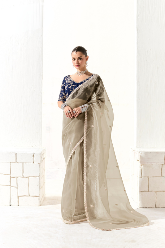 Tissue Silk Saree with Heavy Embroidered Border for Grand Occasions