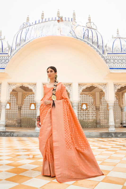 Handloom Crafted Saree in Nylon Silk Georgette for Festive Wear