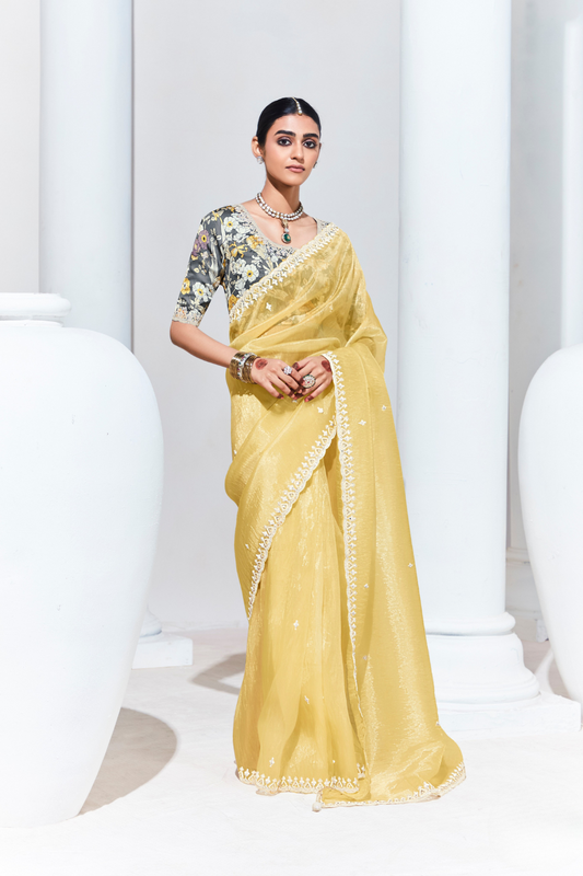 Elegant Tissue Saree with Sequins and Thread Embroidery Work