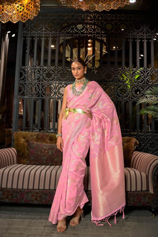 Banarasi Saree with Contrast Border and Traditional Weaving