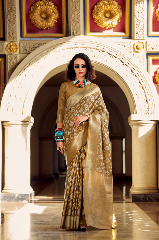 Tissue Silk Saree with Subtle Sheen and Elegant Drape - LaVante Fashion