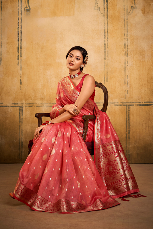 Tissue Silk Elegance Draped in a Striking Contrast Border