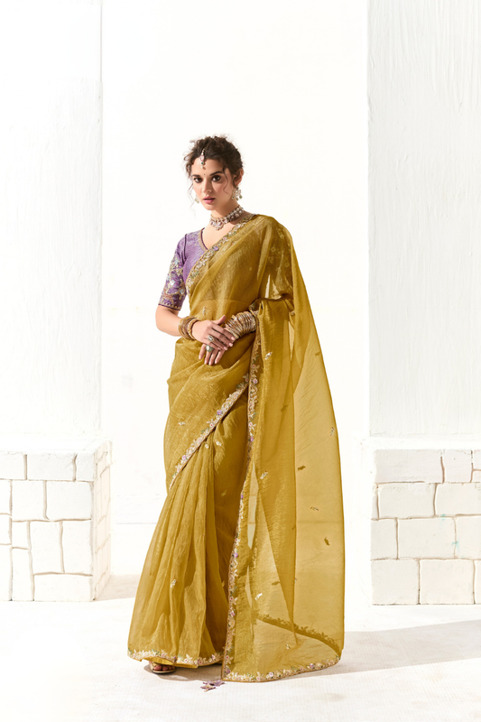 Tissue Silk Saree with Heavy Embroidered Border for Grand Occasions