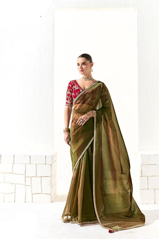Tissue Silk Saree with Heavy Embroidered Border for Grand Occasions