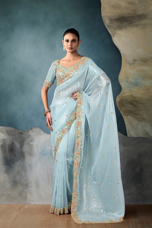 Tissue Saree with Handwork Detailing and Designer Cut Work Border