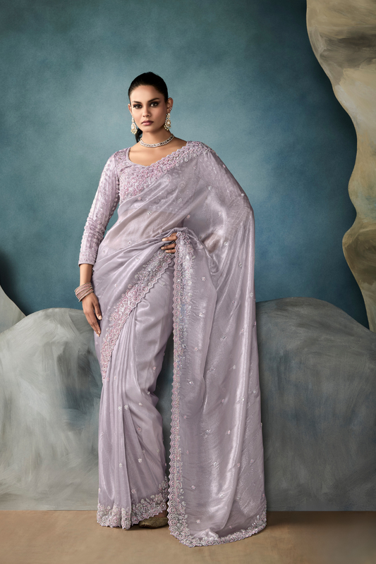 Tissue Saree with Handwork Detailing and Designer Cut Work Border