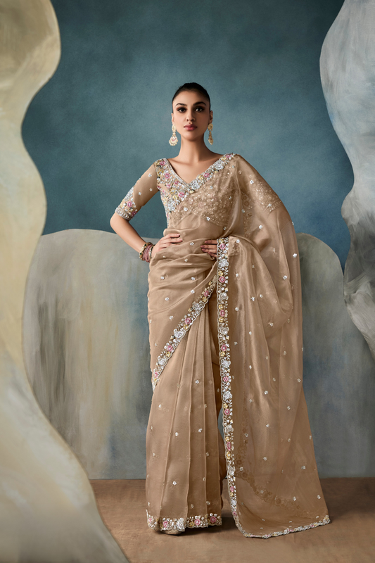 Tissue Saree with Handwork Detailing and Designer Cut Work Border