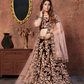 Elegant Maroon Embroidered Velvet Lehenga Choli and Dupatta