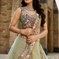 Stylish Net Lehenga Choli & Dupatta Highlighted with Sequins Embroidery