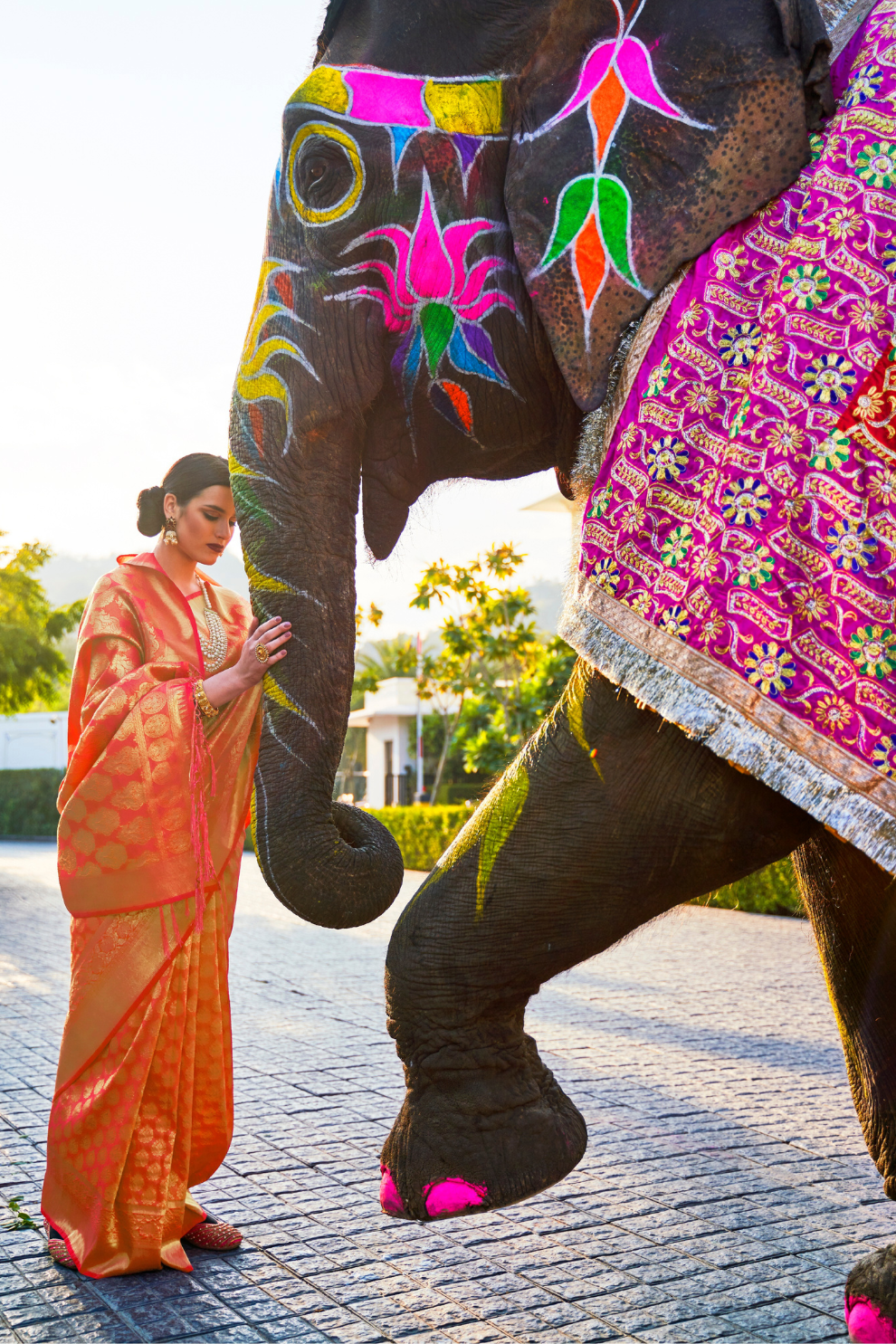 Elegant Kanjivaram Silk Saree with Rich Handloom Weaving