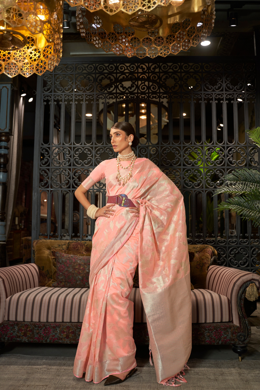 Banarasi Saree with Contrast Border and Traditional Weaving