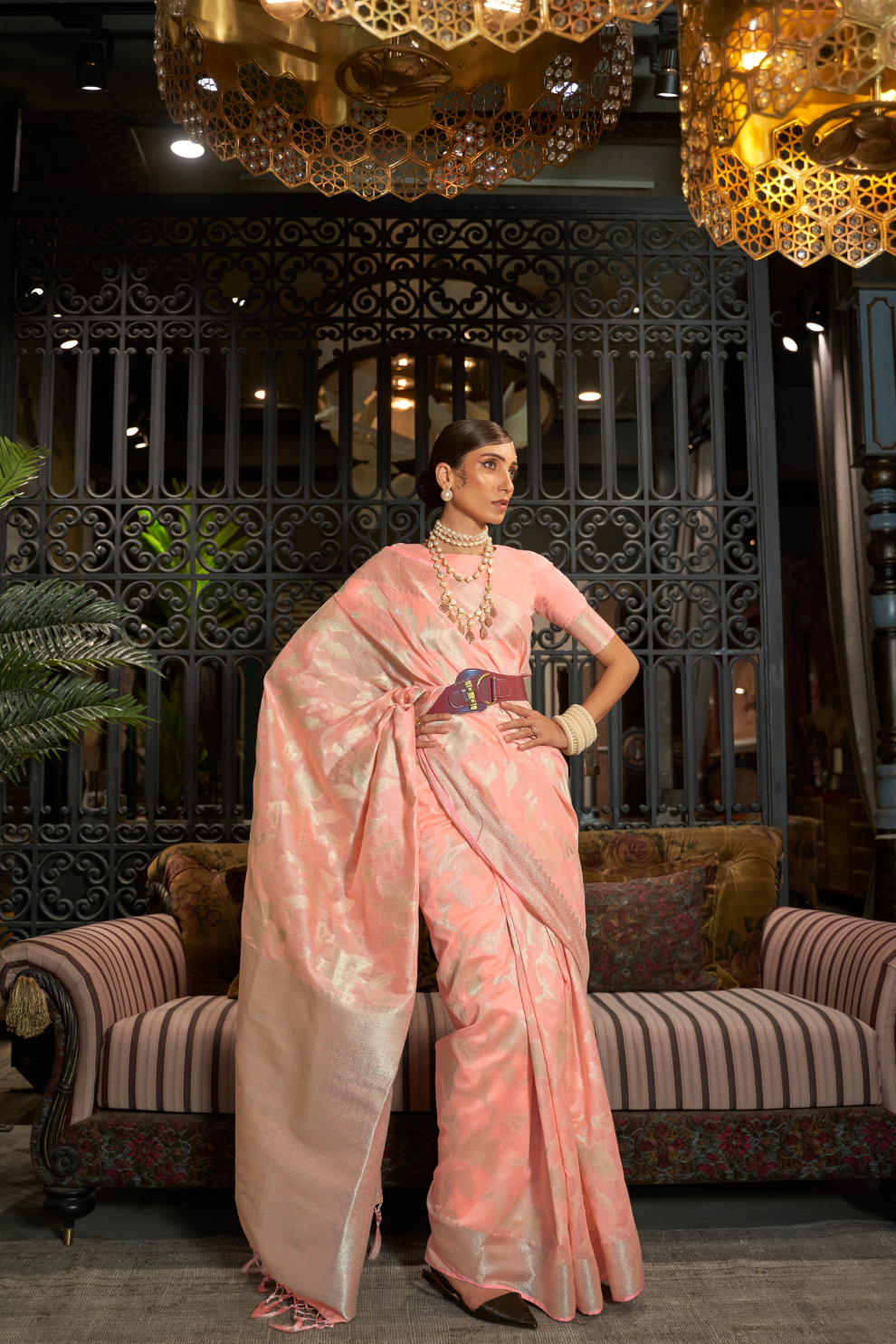 Banarasi Saree with Contrast Border and Traditional Weaving