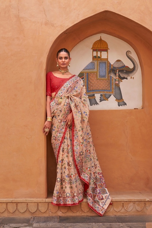 Elegant Tissue Silk Saree with Patola Designer Blouse