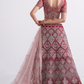 Bridal Red Net Lehenga Choli With Intricate Embroidery