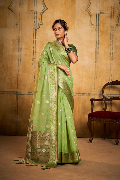 Tissue Silk Elegance Draped in a Striking Contrast Border