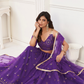 Trendy Butterfly Net Lehenga Choli with Intricate Thread & Sequin Work