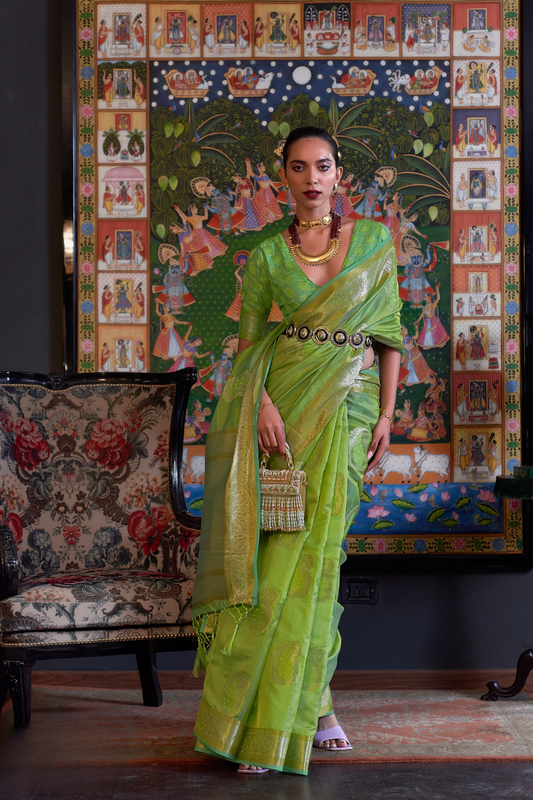 Handloom Woven Dual Tone Organza Silk Saree with Subtle Shine