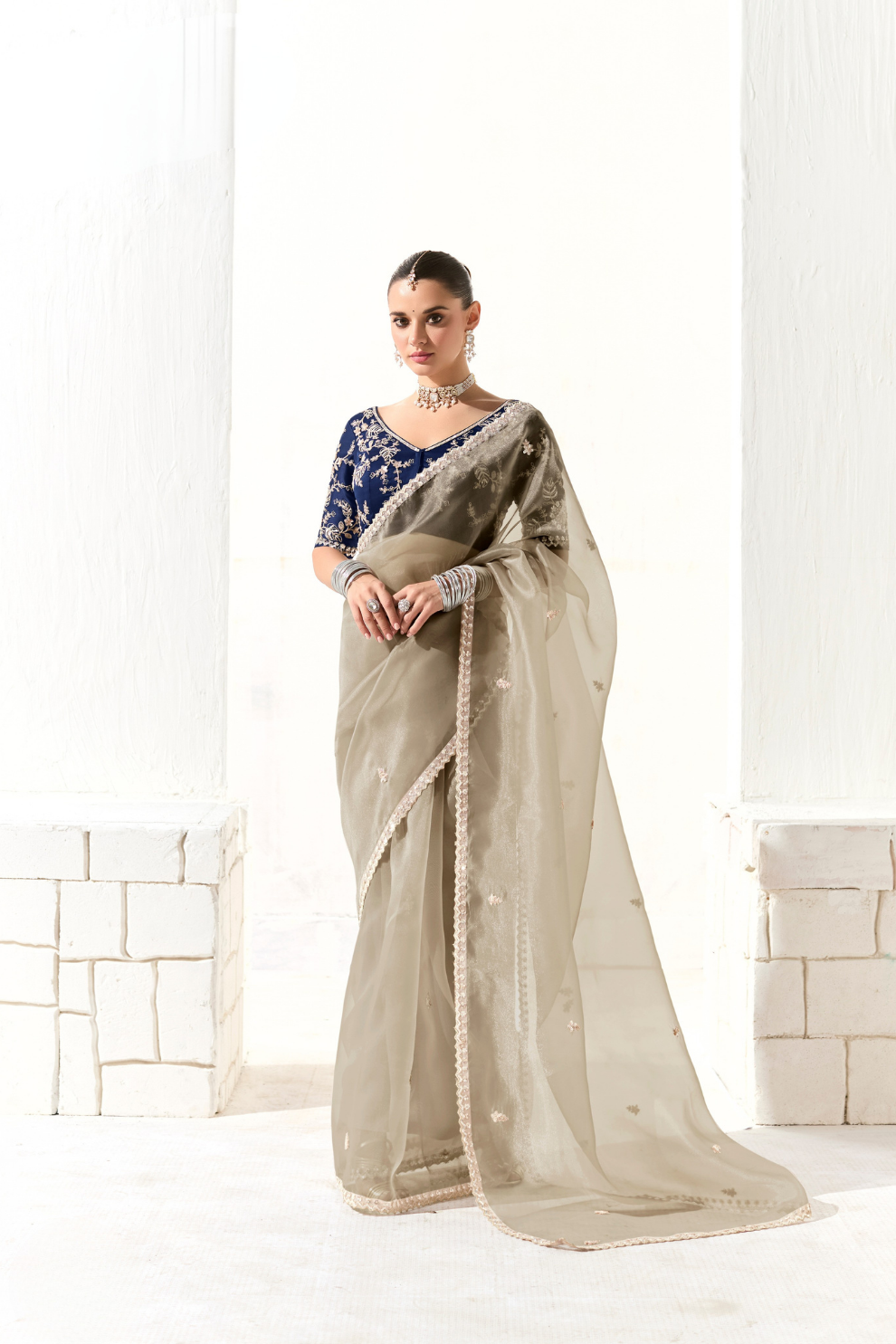 Tissue Silk Saree with Heavy Embroidered Border for Grand Occasions