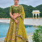 Beautifully Shaded Silk Lehenga with Handcrafted Embroidery & Cutwork