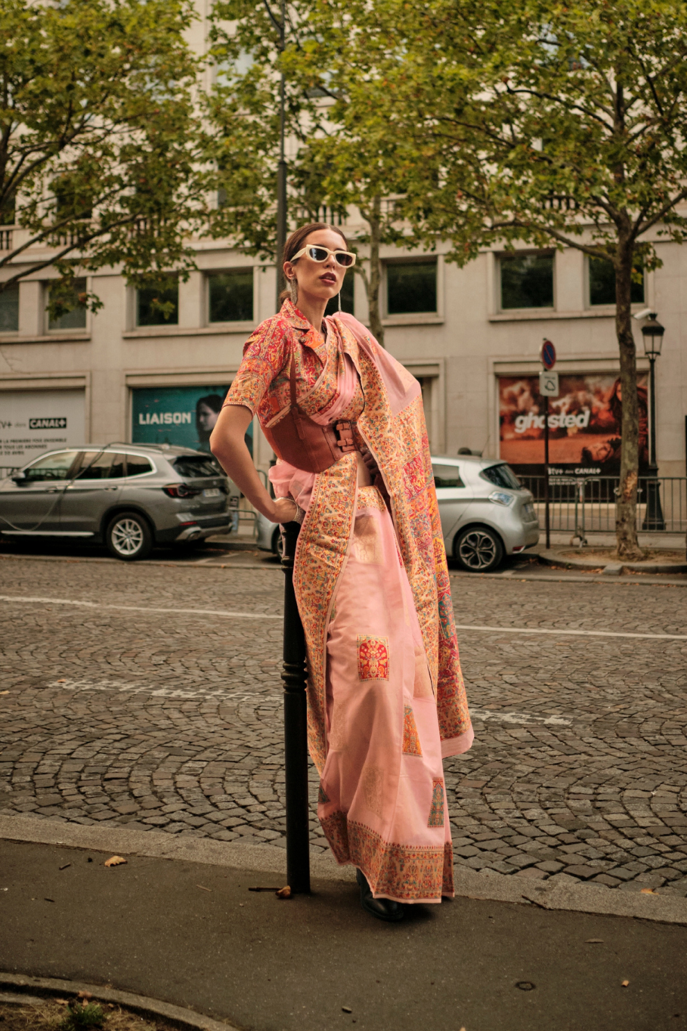 Kashmiri Modal Handloom Weaving Saree with Intricate Traditional Patterns