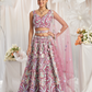Graceful Net Semi-Stitched Lehenga Choli With Sequin Detailing