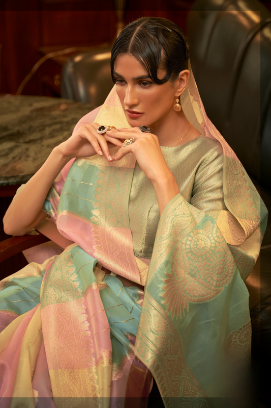 Elegant Organza Woven Saree with Subtle Traditional Charm