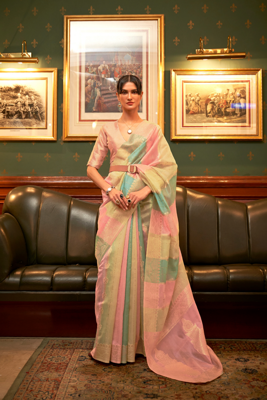 Elegant Organza Woven Saree with Subtle Traditional Charm