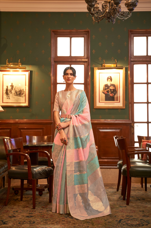 Elegant Organza Woven Saree with Subtle Traditional Charm