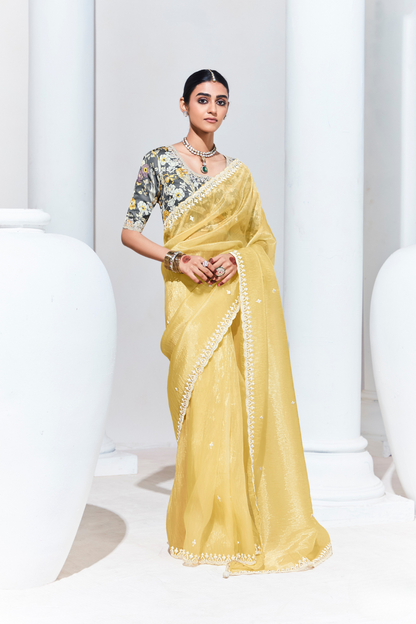 Elegant Tissue Saree with Sequins and Thread Embroidery Work