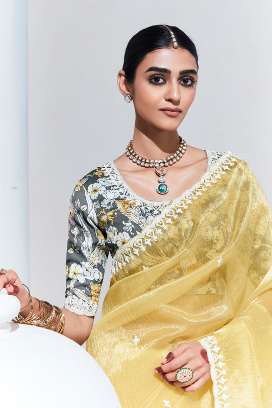 Elegant Tissue Saree with Sequins and Thread Embroidery Work