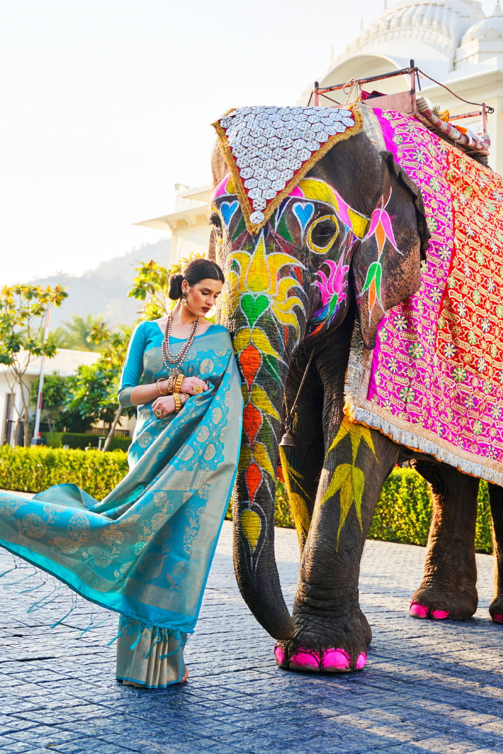 Elegant Kanjivaram Silk Saree with Rich Handloom Weaving