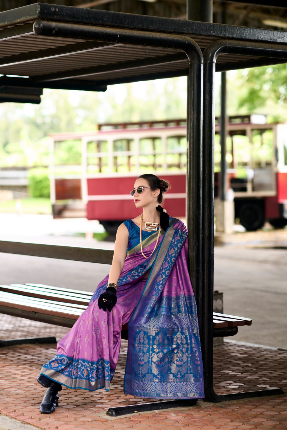 Soft Silk Saree with Ikkat Border and Classic Elegance - LaVante Fashion