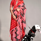 Banarasi Silk Saree with Zari Border and Rich Pallu