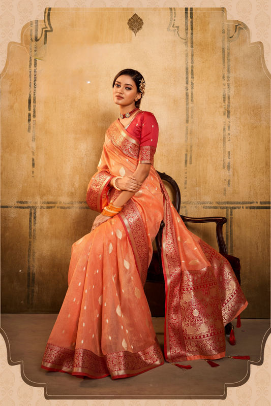 Tissue Silk Elegance Draped in a Striking Contrast Border