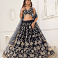 Trendy Butterfly Net Lehenga Choli with Intricate Thread & Sequin Work