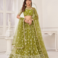 Trendy Butterfly Net Lehenga Choli with Intricate Thread & Sequin Work
