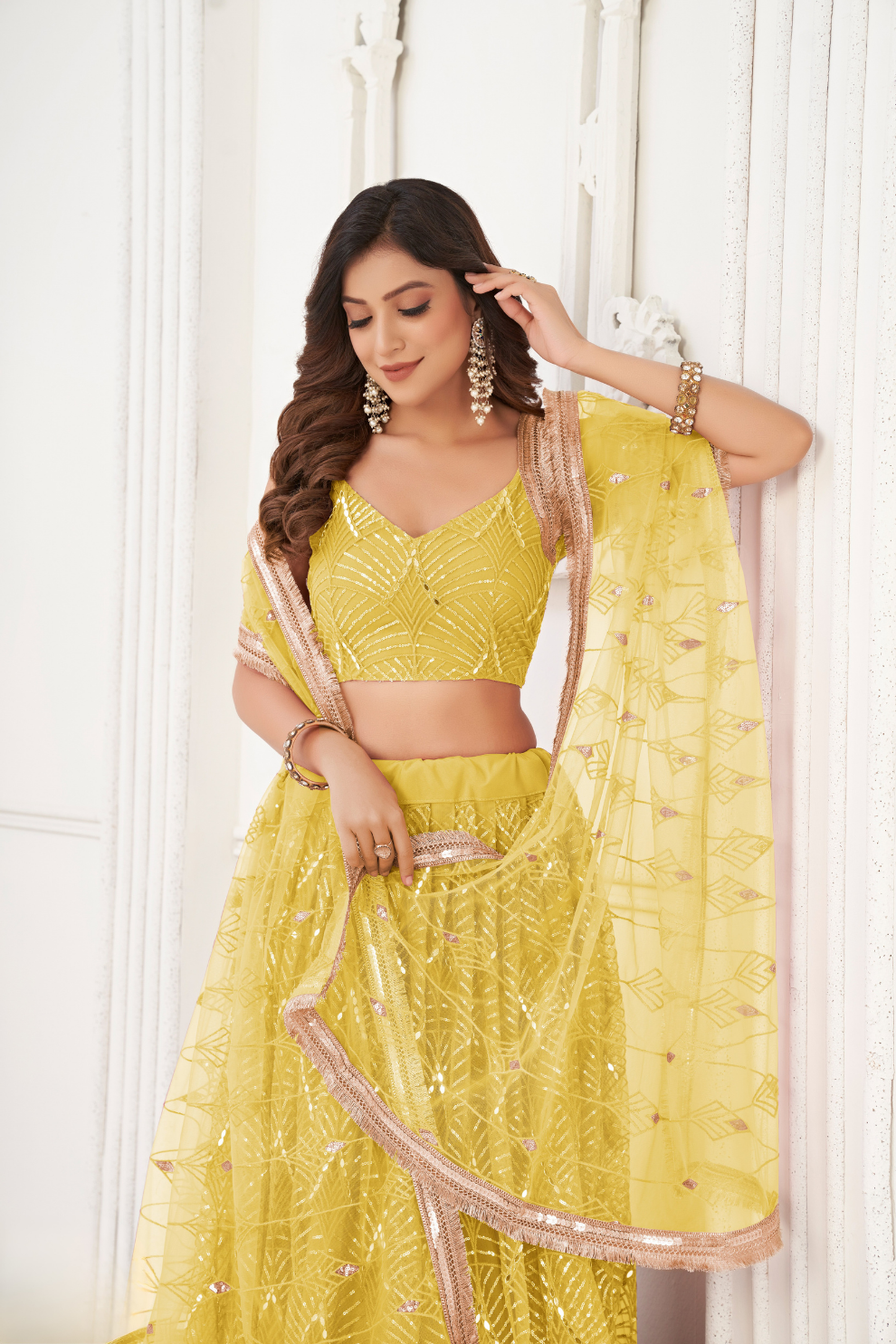 Trendy Butterfly Net Lehenga Choli with Intricate Thread & Sequin Work