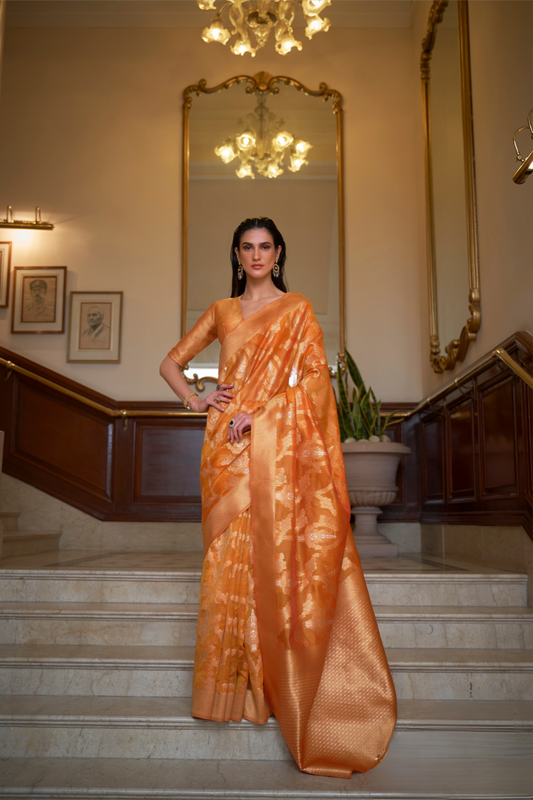 Organza Handloom Saree with Intricate Zari Weaving