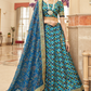 Elegant blouse and soft net dupatta with border detailing