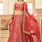 Elegant blouse and soft net dupatta with border detailing