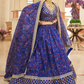Elegant blouse and soft net dupatta with border detailing