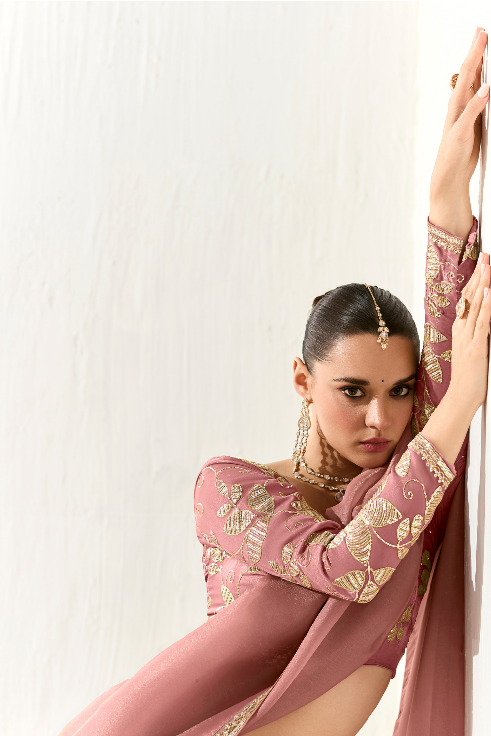 Tissue Silk Saree with Heavy Embroidered Border for Grand Occasions