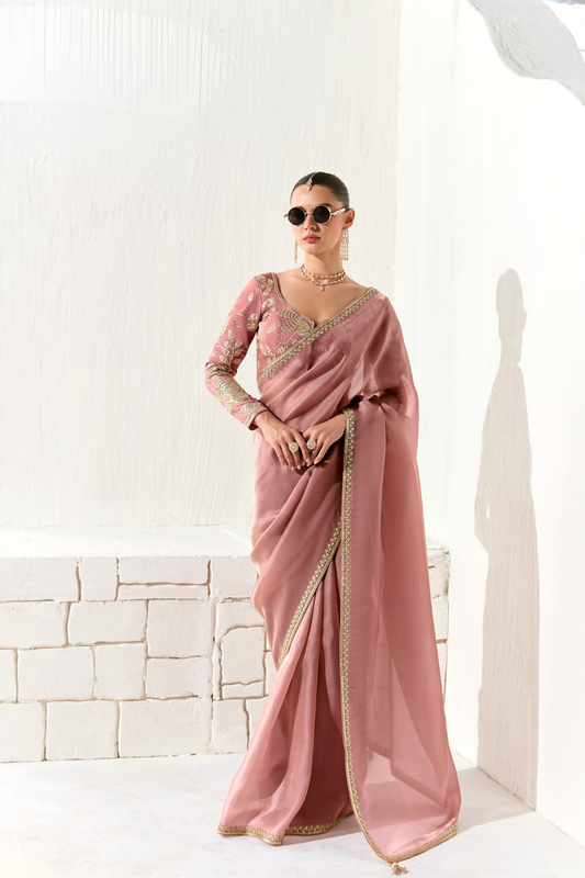 Tissue Silk Saree with Heavy Embroidered Border for Grand Occasions