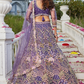 Designer Net Lehenga Choli with Coding and Zarkan Embroidery