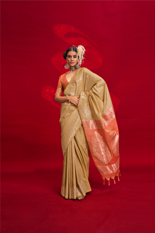 Tussar Silk Handloom Saree with Contrast Ikkat Pallu & Blouse