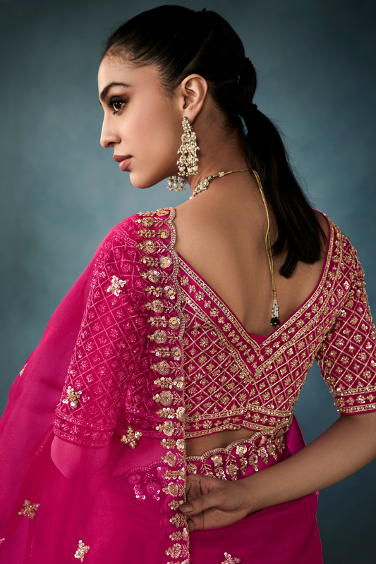 Tissue Saree with Handwork Detailing and Designer Cut Work Border