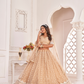Elegant Net Lehenga Choli with Intricate Thread Embroidery