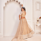 Elegant Net Lehenga Choli with Intricate Thread Embroidery